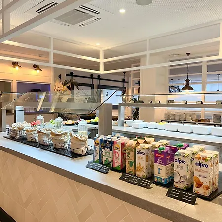 Gran Flamingo-adults Only Older 18 Years Old Lloret de Mar