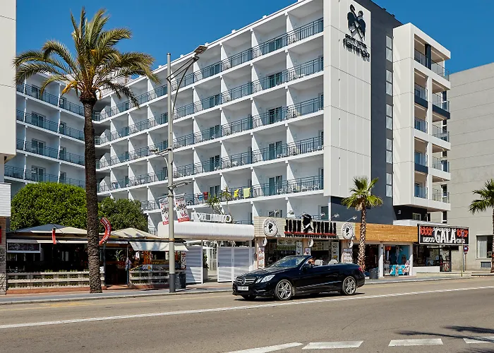 Gran Flamingo-adults Only Older 18 Years Old