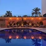Gran Flamingo-adults Only Older 18 Years Old