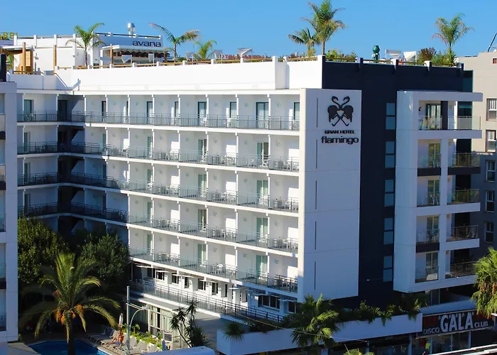 Gran Flamingo-adults Only Older 18 Years Old Lloret de Mar