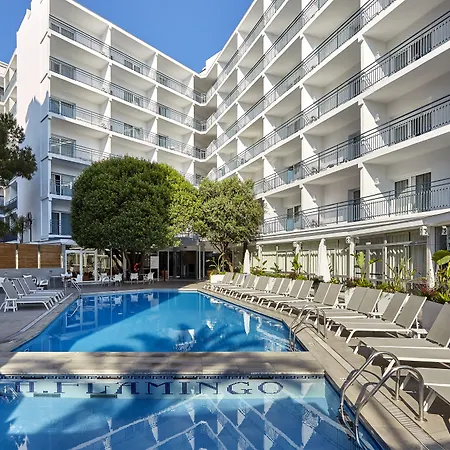 Szálloda Gran Flamingo-adults Only Older 18 Years Old 4*